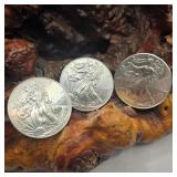 Three 2013 Silver Eagles
