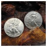 Two 2012 Silver Eagles
