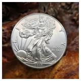 2017 Silver Eagle