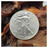 2013 Silver Eagle