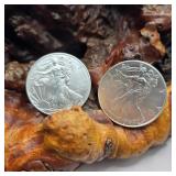 Two 2013 Silver Eagles