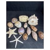 SEA SHELLS, STARFISH & SHELL TRINKET BOX