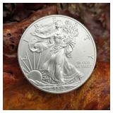 2013 Silver Eagle