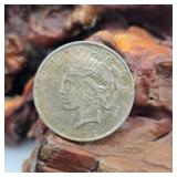 1922 Silver Peace Dollar