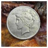 1923 Silver Peace Dollar