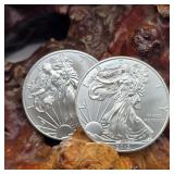 Two Silver Eagles