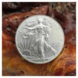 2013 Silver Eagle