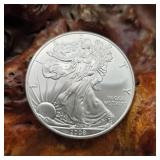2008 Silver Eagle
