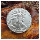 2017 Silver Eagle