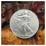 2013 Silver Eagle