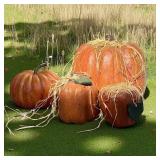 4 Decorative Pumpkins 3 w/ Raffia are Similar to