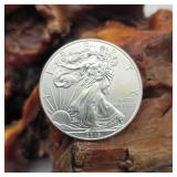 2013 Silver Eagle