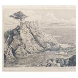 Vtg 8X9 Etching by W Ostrander , Lone Cypress