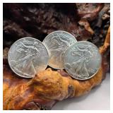 Three 2013 Silver Eagles