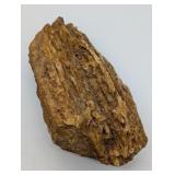 PETRIFIED WOOD 9.5" X 4.5"