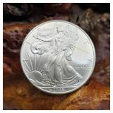 2008 Silver Eagle