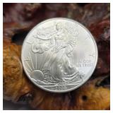 2008 Silver Eagle