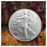2013 Silver Eagle