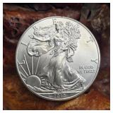 2012 Silver Eagle