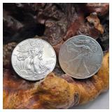 Two 2013 Silver Eagles