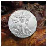 2013 Silver Eagle
