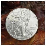 2013 Silver Eagle