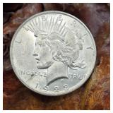 1923 Silver Peace Dollar