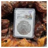 NGC 2022 MS70 Silver Eagle Nebraska