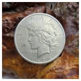 1925 Silver Peace Dollar