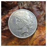 1925 Silver Peace Dollar