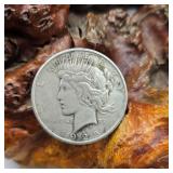 1925 Silver Peace Dollar