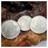 Three1921 Morgan Silver Dollars