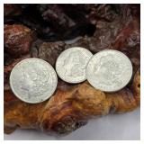 Three1921 Morgan Silver Dollars