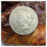 1925 Silver Peace Dollar