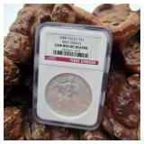 NGC 2006 Gem Uncirculated Silver Eagle