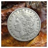 1880 Morgan Silver Dollar