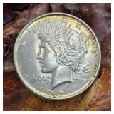 1922 Silver Peace Dollar