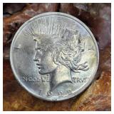 1922 Silver Peace Dollar