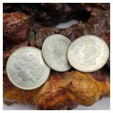 Three1921 Morgan Silver Dollars