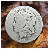 1891 Morgan Silver Dollar
