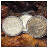 3 1921 Morgan Silver Dollara