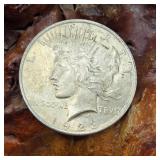 1923 Silver Peace Dollar