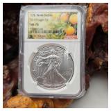 NGC 2019 MS70 Silver Eagle Florida