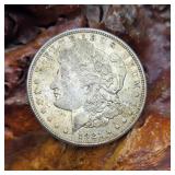 1921 D Morgan Silver Dollar
