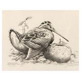 FINDERS KEEPERS AMERICAN WOODCOCK PRINT SIGNED,