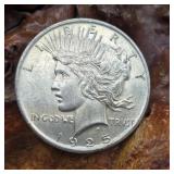 1925 Silver Peace Dollar