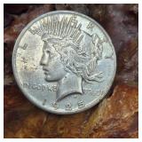 1925 Silver Peace Dollar