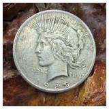 1925 Silver Peace Dollar