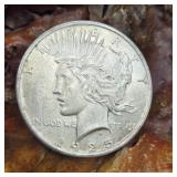 1925 Silver Peace Dollar