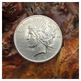 1925 Silver Peace Dollar